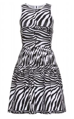 Zebra Knit Dress Plus size unclassified dresses